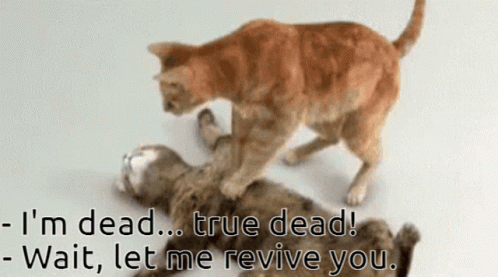 True Dead Cat Cpr GIF - True Dead Cat Cpr Division2raids GIFs