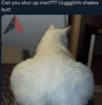 a white cat is sitting on a carpet with a caption that says `` can you shur.up man ? ''