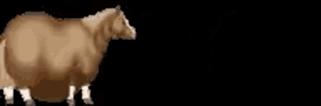 Horserace Godgamer GIF