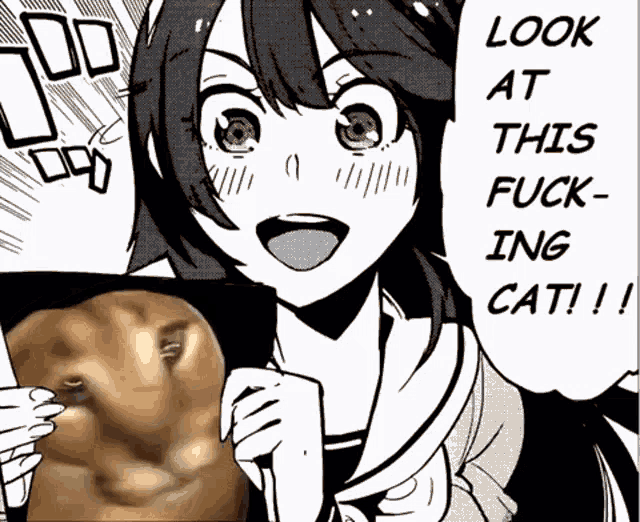 a black and white drawing of a girl with the words look at this fuck-ing cat