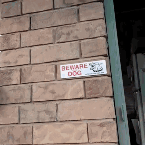 Dachshund Dog GIF - Dachshund Dog Sausage GIFs