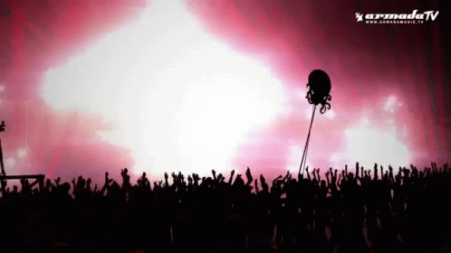 Concert Party GIF - Concert Party Party Time GIFs