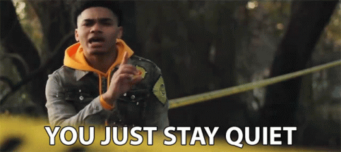 You Just Stay Quiet Shh GIF - You Just Stay Quiet Shh Shush GIFs