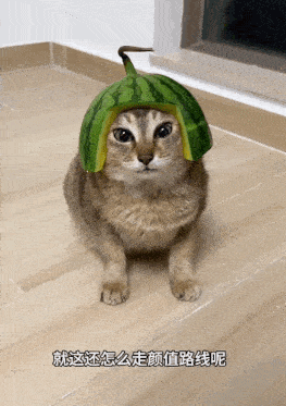 a cat wearing a watermelon hat with chinese writing on the bottom