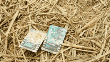 two cards on a pile of hay one of which says emperor