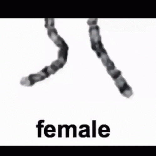 Female Chromosome GIF - Female Chromosome GIFs