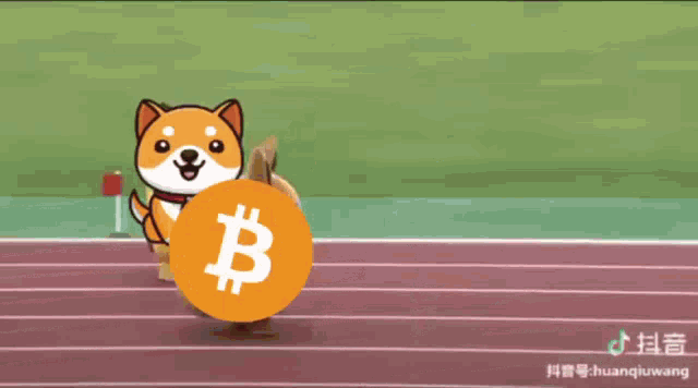Baby Doge Bitcoin GIF - Baby Doge Bitcoin Nft GIFs