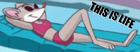a cartoon mouse in a bikini is laying on a blue blanket with the words " this is life " below her