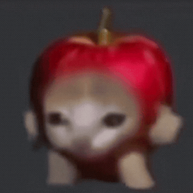 Apple Cat GIF - Apple Cat GIFs