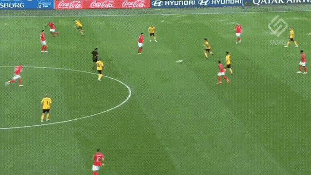 a soccer game is being played on a field with coca-cola and hyundai ads