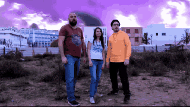 a group of three people standing in a field with a purple sky in the background