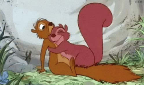 Squirrel Hug GIF - Squirrel Hug Clingy GIFs