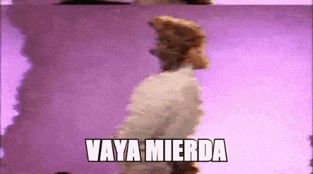 Vaya Mierda GIF