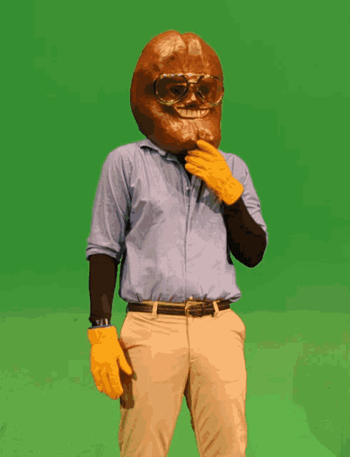 a man wearing a peanut head mask and glasses
