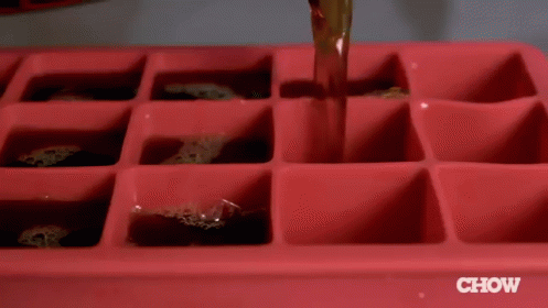 Use Frozen Coffee Cubes To Prevent Watering Down Your Iced Coffee! GIF - Coffeecubes Frozen Icedcoffee GIFs