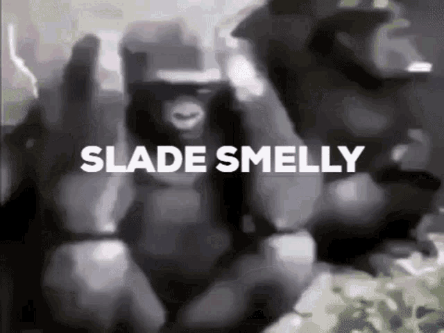 Sladesmelly Slade GIF - Sladesmelly Slade Lukeafk GIFs