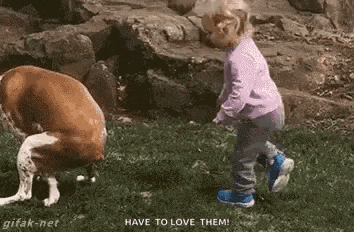 a little girl is playing with a dog in the grass and says `` have to love them '' .