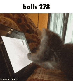 a kitten is looking at a tablet with the words balls 278 above it