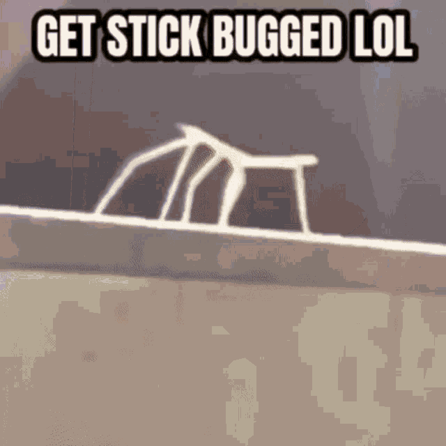 Stick Bug GIF - Stick Bug GIFs