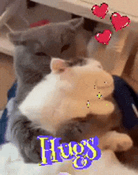 a couple of cats hugging each other with the word hugs behind them