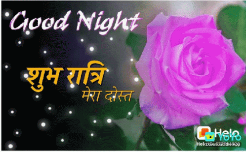 Good Night Flower GIF - Good Night Flower Rose GIFs