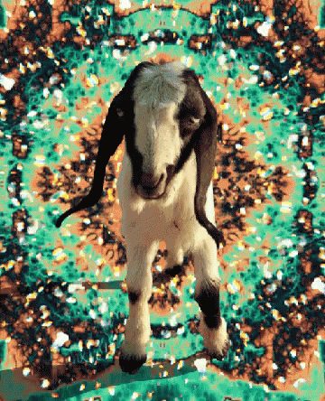 Goat Trippy GIF - Goat Trippy Yes GIFs