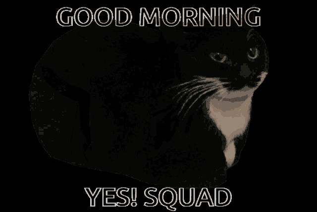 a black and white cat with the words good morning yes squad