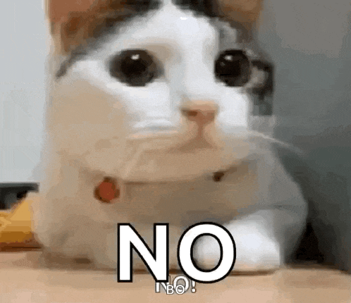 a cat is laying on a table with the word no written on its face .