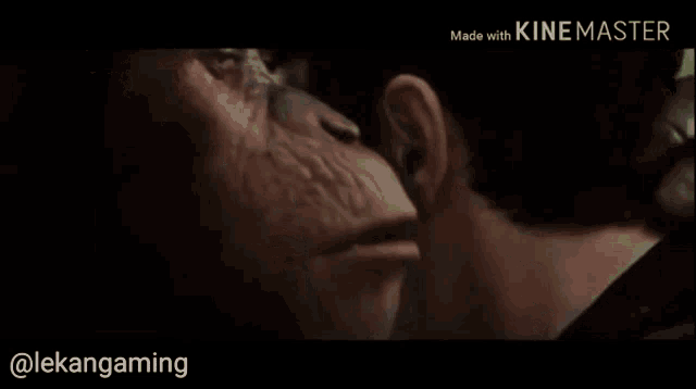 a man and a monkey are looking at each other with the words made with kinemaster behind them