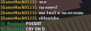a screenshot of a chat with roniny and poebat