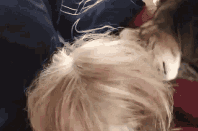 a close up of a person 's hair and a cat 's head