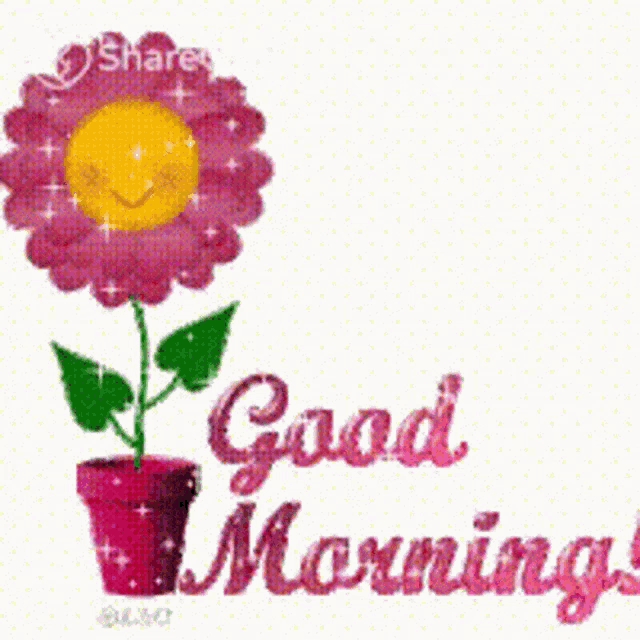 a pink flower in a pot with a smiley face and the words " good morning "