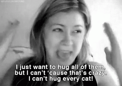 Cant Hug Every Cat I Love Cats GIF