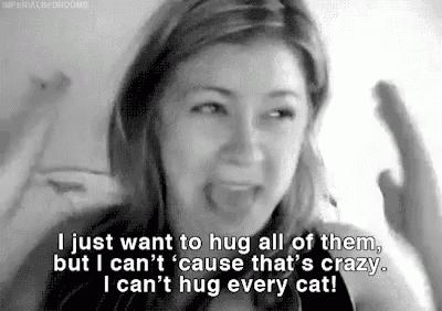 Cant Hug Every Cat I Love Cats GIF