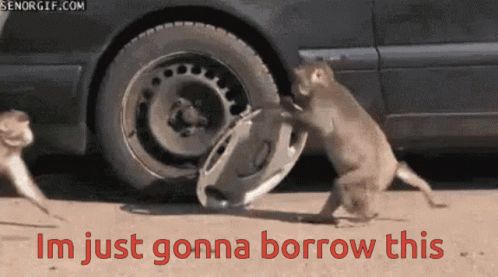 Steal Funny GIF - Steal Funny Monkey GIFs