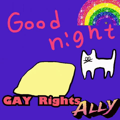 a poster that says good night gay rights ally with a rainbow in the background