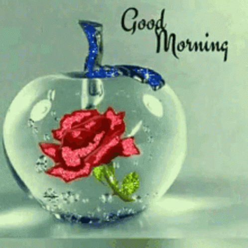 Good Morning Apple GIF - Good Morning Apple Rose GIFs