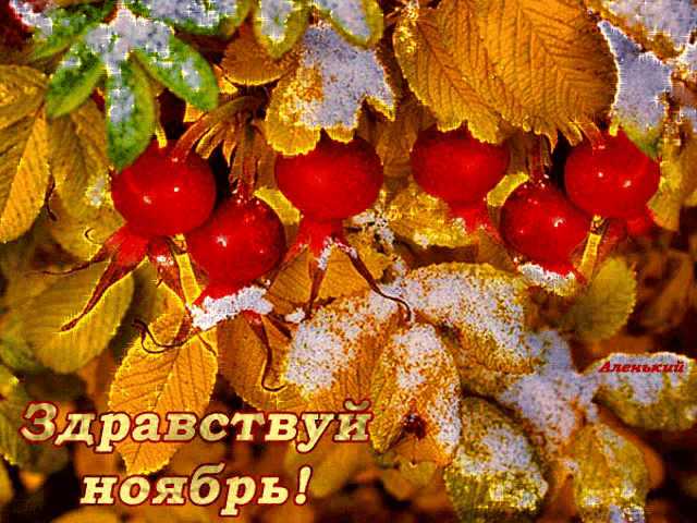a greeting card in russian shows a bunch of red berries