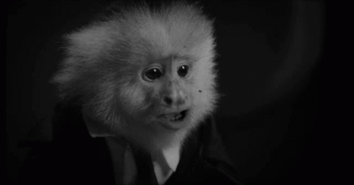 Toss An Animal Monkey GIF - Toss An Animal Monkey David Lynch GIFs