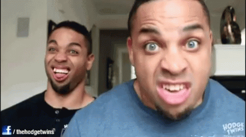 The Hodgetwins Funny Faces GIF - The Hodgetwins Funny Faces GIFs