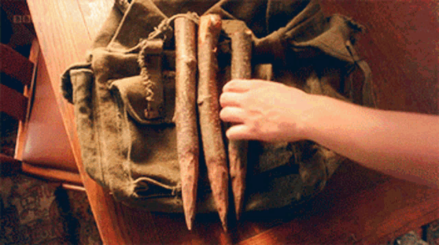 a person 's hand is reaching into a green bag with a few sticks in it