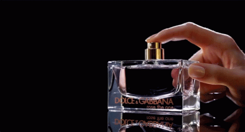 Perfume Dolce GIF - Perfume Dolce Gabbana GIFs
