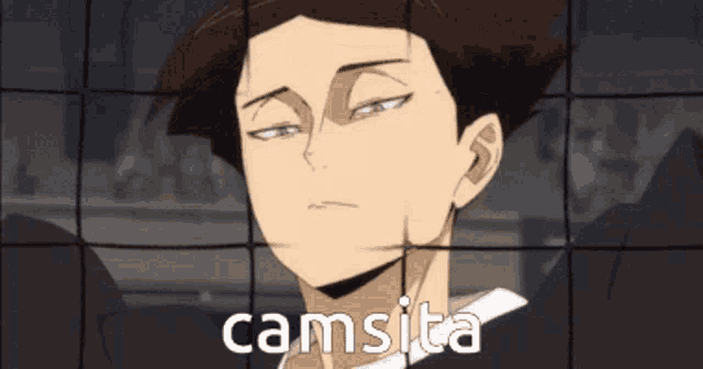 a cartoon of a man behind a volleyball net with the word camsita written on it
