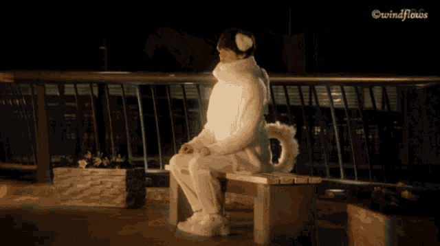 a person wearing a furry ear warmer with the word wind flows in the lower right corner