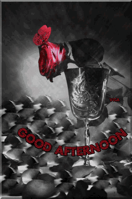 a black and white photo with the words good afternoon written in red