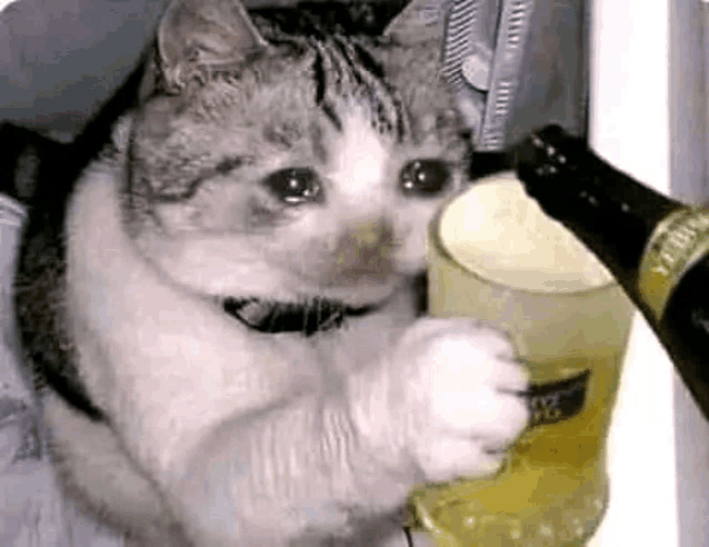 a cat is holding a glass of beer next to a bottle .