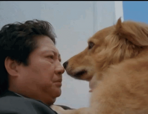 Dog Licking Face Sammo Hung GIF