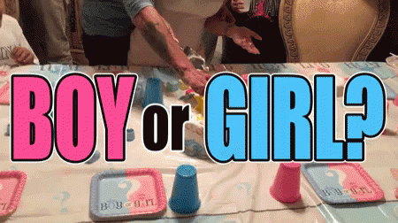 Boy Or Girl GIF - Boy Or Girl Gender Reveal GIFs