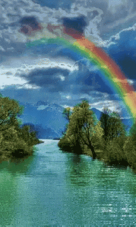 Rainbow Lake GIF - Rainbow Lake Trees GIFs