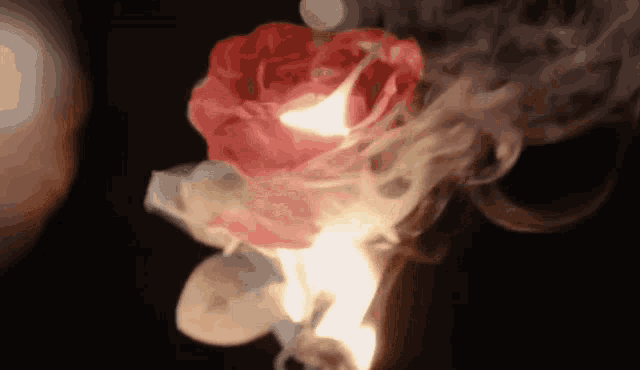 a red rose is on fire and smoke is coming out of it